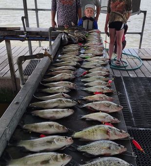 Every cast on Truman Lake brings the chance to hook your next personal best in the heart of Missouri.