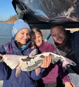 CowFish? nah just a catfish for today - Truman Lake, MO.