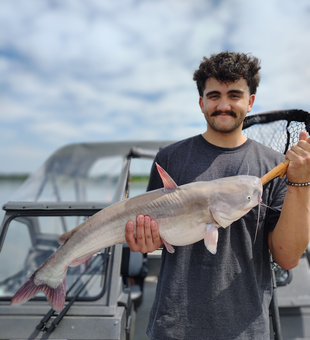 Truman Lake Catfish Bite Is On!