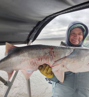 Missouri Paddlefish Limits on Truman Lake