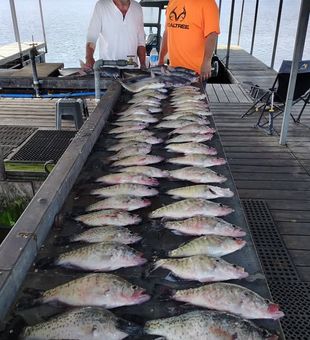 Chase trophy crappie and hard-fighting bass on Truman Lake, where every fishing trip offers a new adventure.