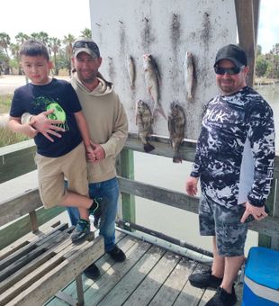 Hardhead catfish and black drum from Corpus Christi waters!