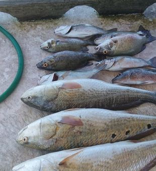 Making memories, one cast at a time.