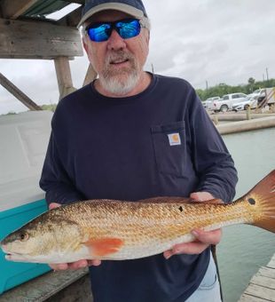 Beautiful Corpus Christi redfish ready for the cooler!