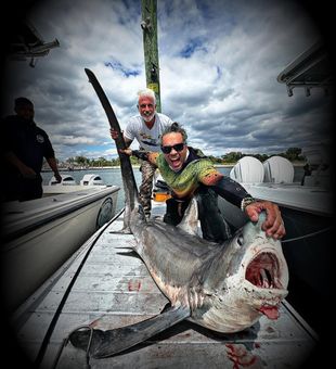 Massive Thresher Shark catch!