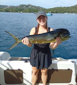 Beautiful Guanacaste mahi mahi ready for the table!