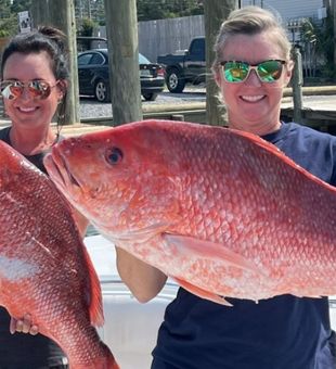 Reel in Dauphin Island Adventure, Red Snapper