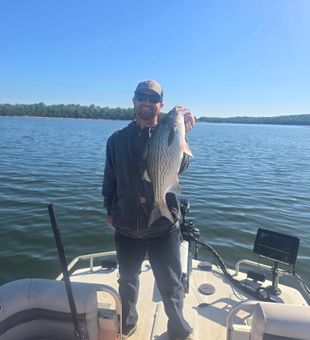 Nice striped bass caught on Nashville waters!