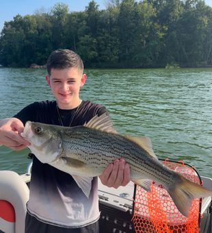 Book your Nashville fishing charter today!