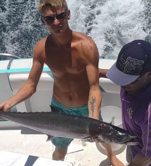 Mackerel caught from Florida fishing