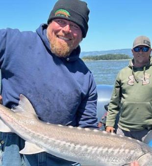 Astoria Sturgeon fishing at its finest