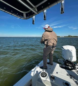 Action-packed Tampa Bay fishing moment