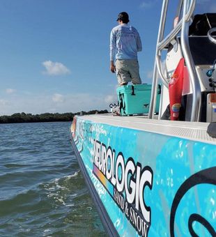 Tampa Bay fishing charter boat action