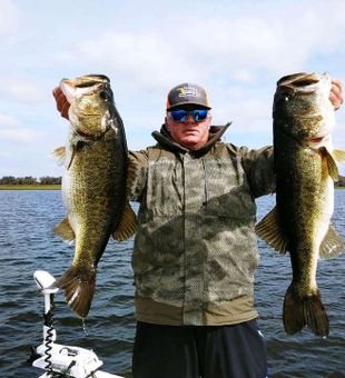 Largemouth Bass In Orlando 