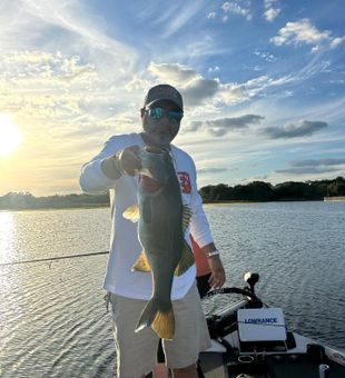 Vibrant! Largemouth Bass bite in Florida.