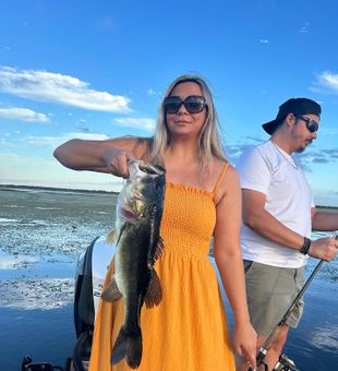 Bold! Largemouth Bass on Florida lake.