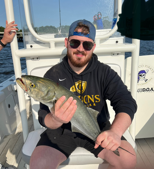 Hooked a feisty bluefish in the afternoon sun!