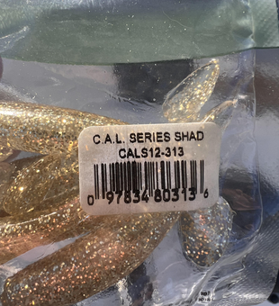 Fresh shad caught using light tackle on a perfect clear day - exciting results!