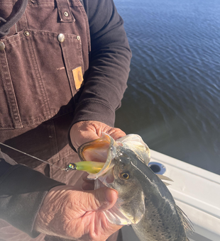 Nice catch on light tackle! Clear conditions made for an exciting day on the water.