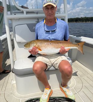 Beautiful Oriental NC redfish ready for the cooler!