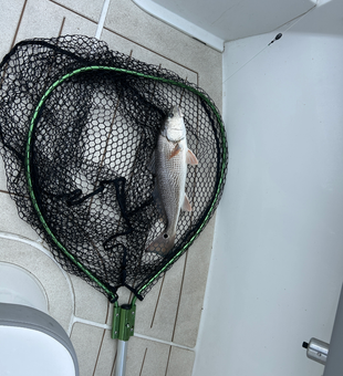 Light tackle triumph: Redfish on the line despite stormy skies!