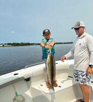Cup Scout Fishing badge earned on a New Bern striped bass! Captain Dave Hegel @pamlicopiratefishingcharters