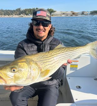 32” Neuse River Rockfish! Pamlico Pirate Fishing Charters 