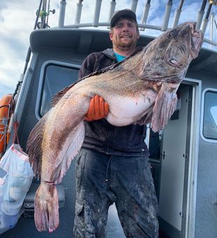 Reel in Lingcod on Oregon Coast!