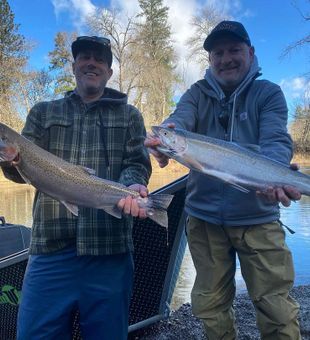 Discover Rainbow Trout on Fishing Trips