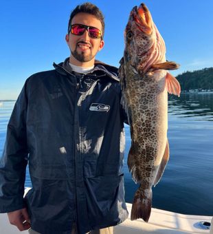 Fishing Puget Sound with expert charter guide