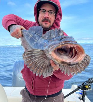 Fishing Seattle’s saltwater for Lingcod