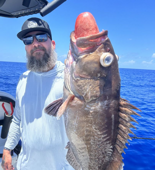 One Big Grouper In Key West Florida