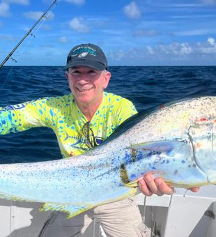 Islamorada Vibrant Mahi-Mahi Display