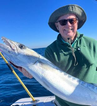 Islamorada Premier Barracuda