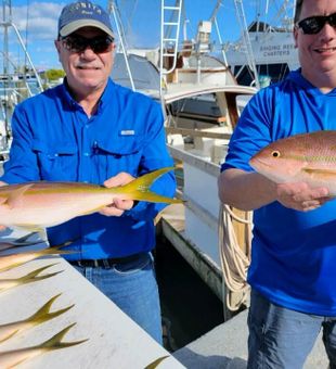 Islamorada Snapper Abundance