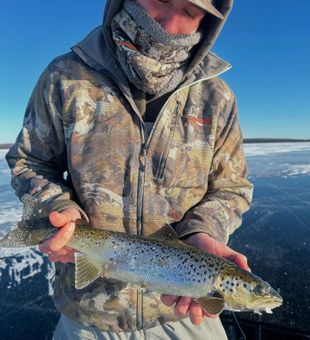 Set lines and jig rods ready.