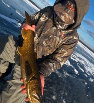 Maine hardwater action.