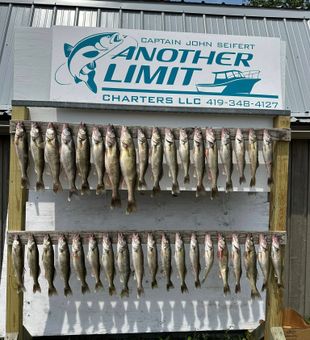 Lake Erie, Ohio Fishing Haul