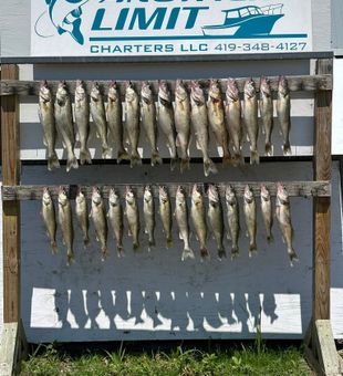 Experience world-class walleye fishing on Lake Erie, OH, where every trip offers the chance to reel in a trophy catch.