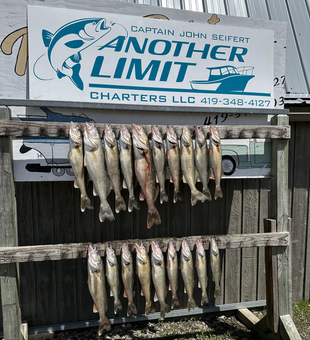 Anglers jigged, trolled, and drifted their way to a 10-Walleye day at Rocky Point RV Park and Marina!