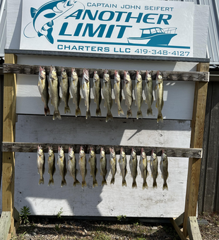 Walleye blasted today at Rocky Point - fishing heaven!