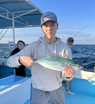 Destin inshore fishing charter – shallow water adventure along Florida’s Emerald Coast.