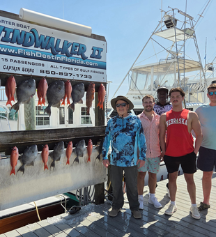 Grey Triggerfish showcase at Destin marina dock!