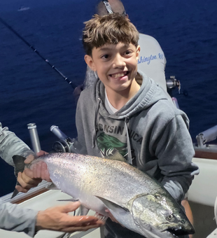 Beautiful Lake Michigan Chinook salmon caught trolling!