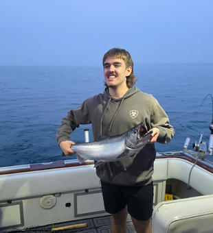Beautiful Lake Michigan Chinook salmon caught trolling!