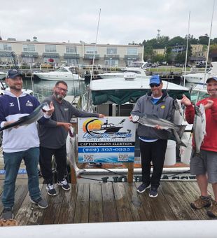 Chinook and Coho salmon success in Port Washington!