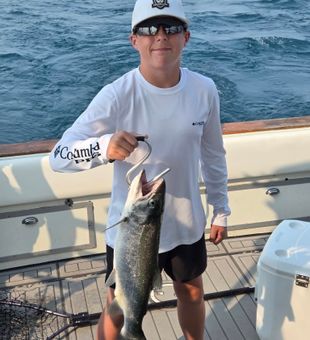 Beautiful rainbow trout from Port Washington waters!