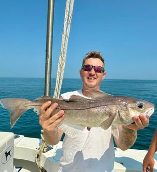 Lots of 20+ inch haddock this summer!