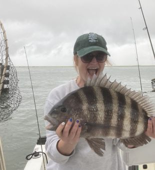 Epic sheepshead catch on a saltwater fishing trip
