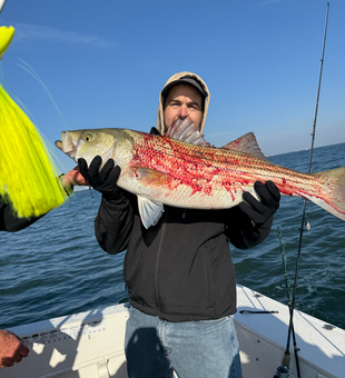 Atlantic City striped bass making the trip worthwhile!